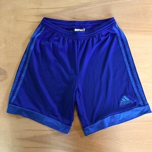 Adidas Men's Blue Sports Shorts